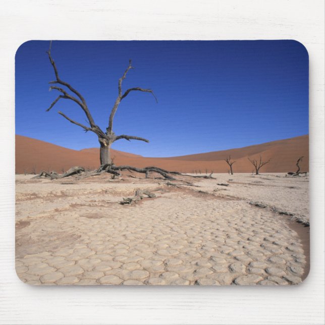 Tapis De Souris Dead Vlei, Sossusvlei, Namib-Naukluft National (Devant)