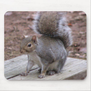 Tapis de souris d'écureuil