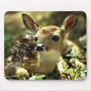 Tapis De Souris Deer Fawn