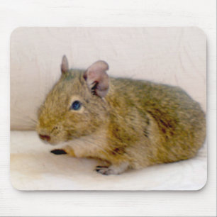 Tapis De Souris Degu Mousepad