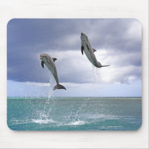 Tapis De Souris Delfin, Delphin, Tuemmler plus brut, Tursiops 2