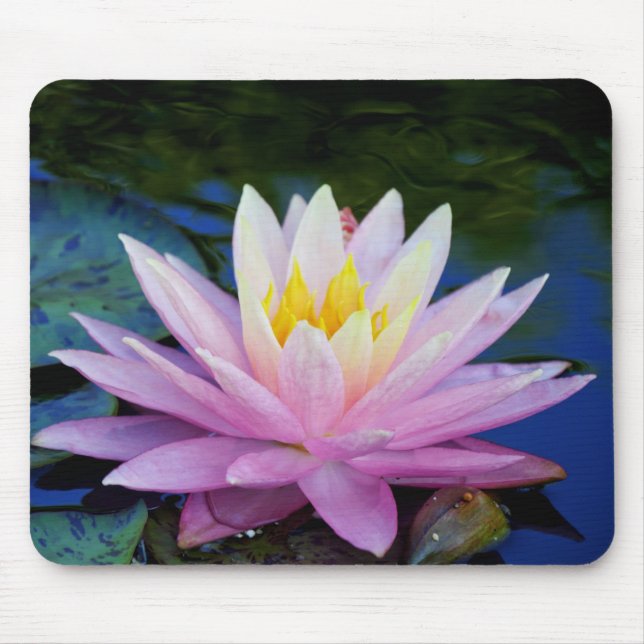 Tapis De Souris Délicat Nénuphar Mousepad (Devant)