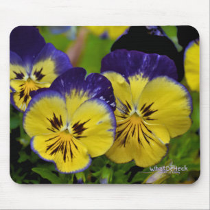 Tapis De Souris Délicieux