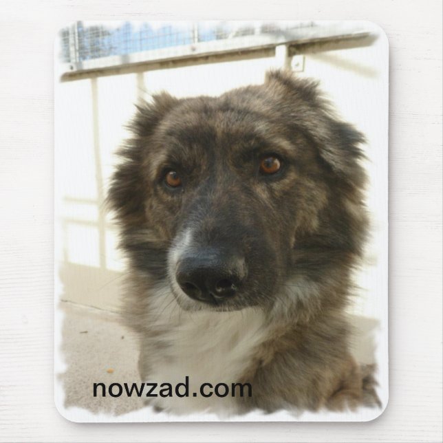 Tapis De Souris Délivrance Wylie Mousepad de Nowzad (Devant)
