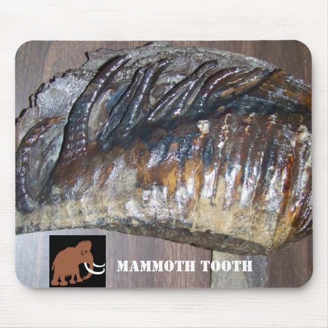 Tapis De Souris dent impressionnante, MAMMOUTH (2), DENT (Devant)