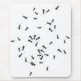 Tapis De Souris Des fourmis partout !