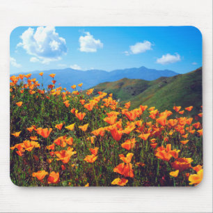 Tapis De Souris Des pavots de Californie recouvrent une colline