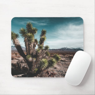 Tapis De Souris Deserts   Cholla Cactus