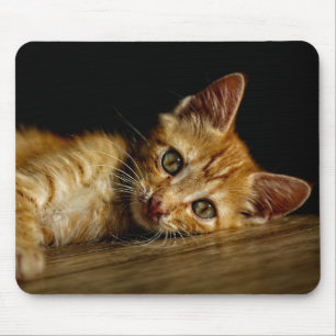 Tapis De Souris Design - Cute chaton
