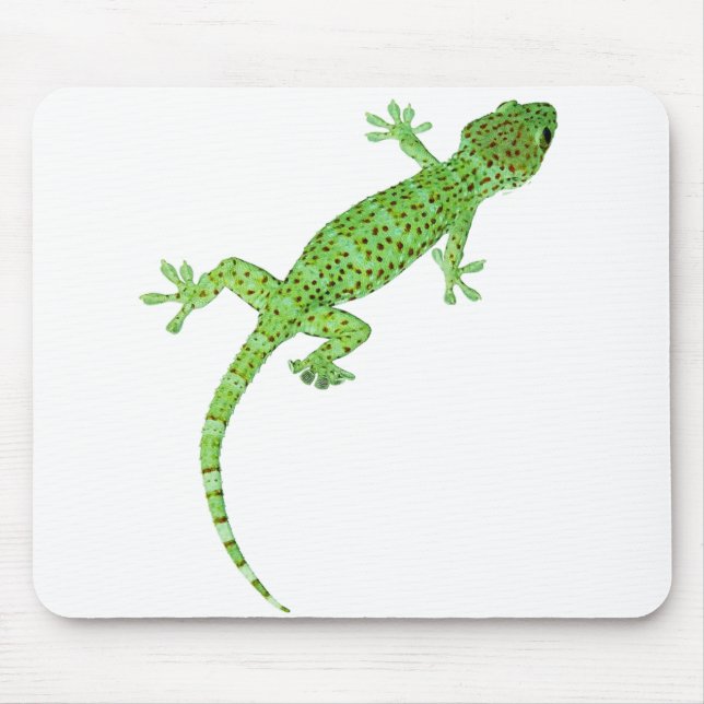 Tapis De Souris Design Pet Gecko Lizard (Devant)