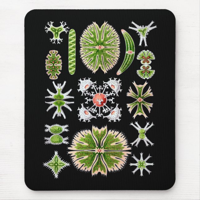 Tapis De Souris Desmids (Devant)
