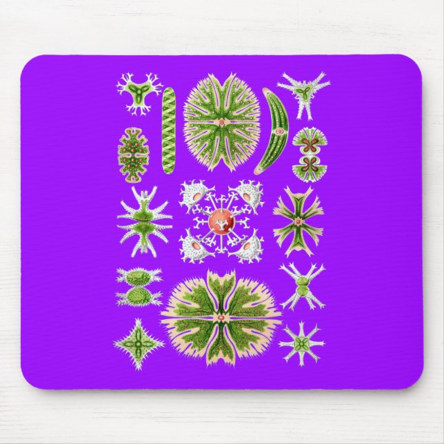 Tapis De Souris Desmids (Devant)