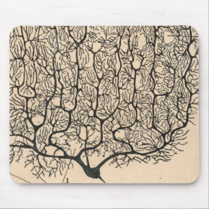 Tapis De Souris Dessin De Neuron Par Santiago Ramón Y Cajal