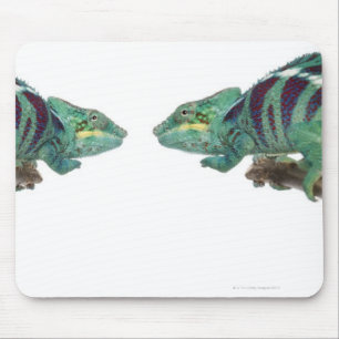 Tapis De Souris Deux caméléons de panthère fouineurs soient