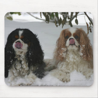 Tapis De Souris Deux cavaliers Mousepad