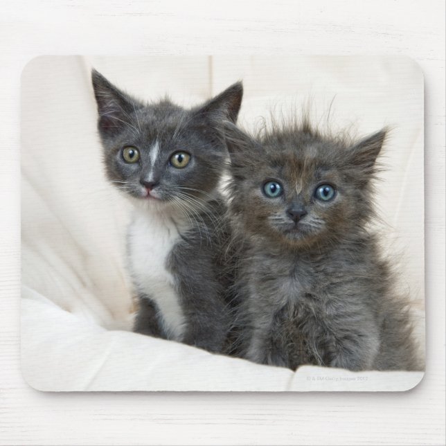 Tapis De Souris Deux chatons à table (Devant)