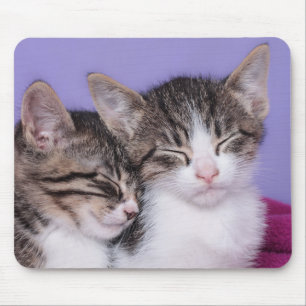 Tapis De Souris Deux chatons mignons faisant une sieste
