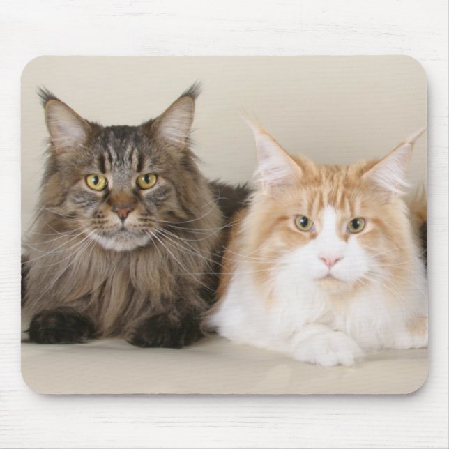 Tapis De Souris Deux chats à coon du Maine (Devant)