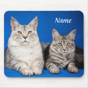 Tapis De Souris Deux Chats Maine Coon Blue Mousepad