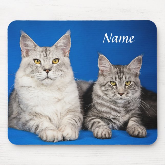 Tapis De Souris Deux Chats Maine Coon Blue Mousepad (Devant)
