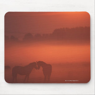 Tapis De Souris Deux chevaux au coucher du soleil