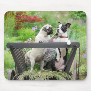 Tapis De Souris Deux chiens par chiot carlin et Boston Terrier dan