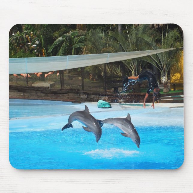Tapis De Souris Deux dauphins (Devant)