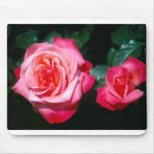 Tapis De Souris Deux fleurs roses du Jubilé d'argent