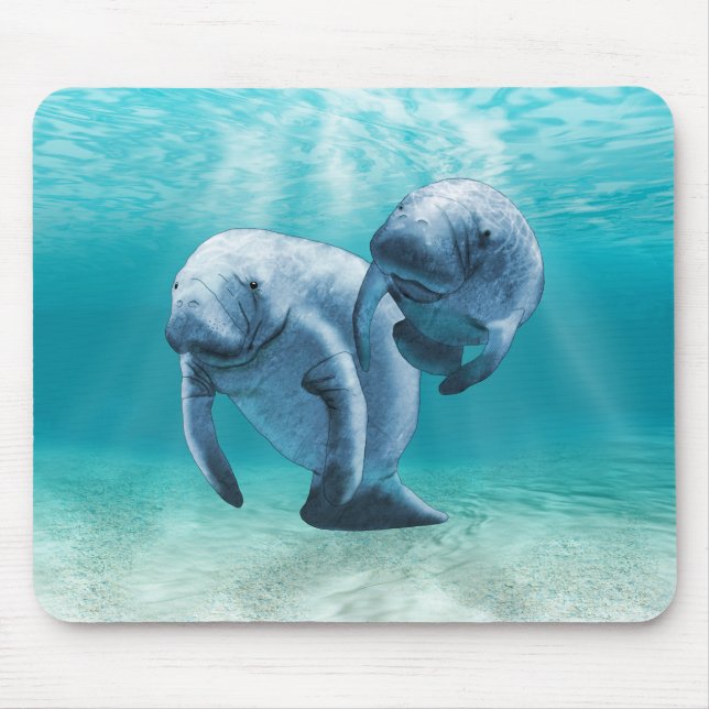 Tapis De Souris Deux lamantins nageant (Devant)