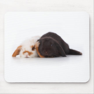 Tapis De Souris Deux lapins mignons de bébé