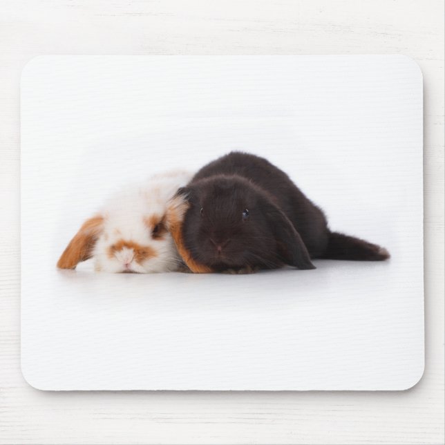 Tapis De Souris Deux lapins mignons de bébé (Devant)