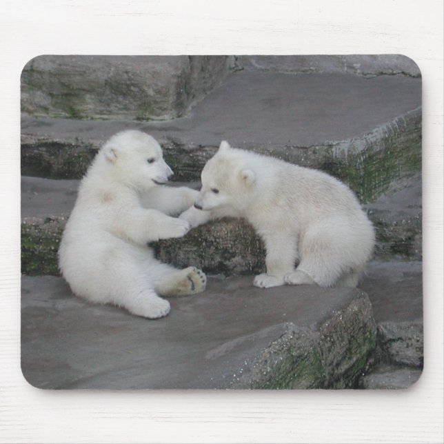 Tapis De Souris Deux oursons polaires (Devant)
