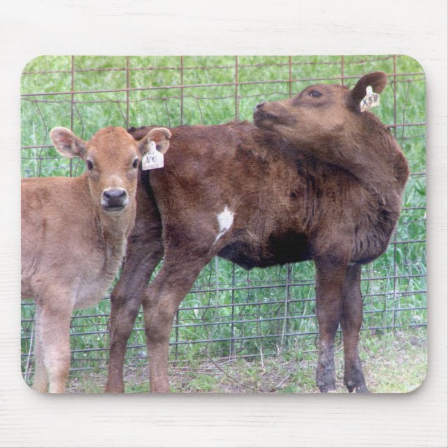Tapis De Souris Deux Petits Heifers (Devant)