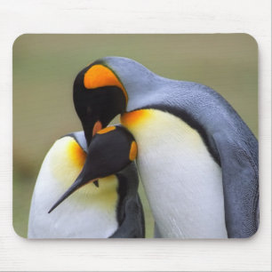 Tapis De Souris Deux pingouins d'amour