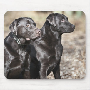 Tapis De Souris Deux récupérateurs Black Labrador