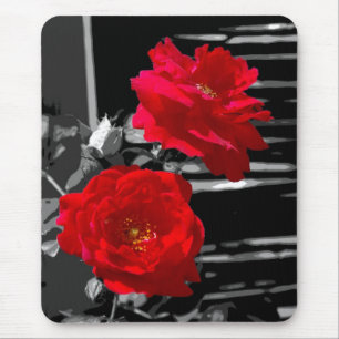 TAPIS DE SOURIS DEUX ROSES ROUGES