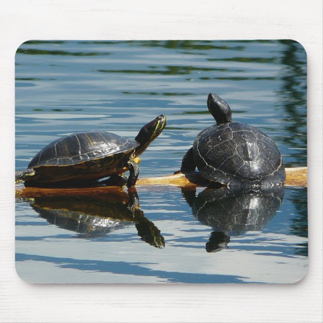 Tapis De Souris Deux tortues à la barre de tortue (Devant)