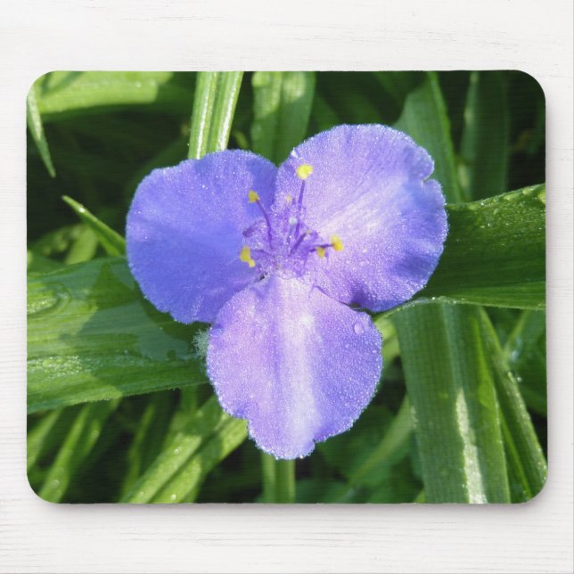 Tapis De Souris Dewy Trillium Fleur sauvage de printemps (Devant)