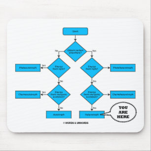 Tapis De Souris Diagramme De Flux Hétérotrophe - Vous Êtes Ici