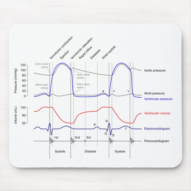 Tapis De Souris Diagramme de Wiggers événements cardiaccycle gauch (Devant)
