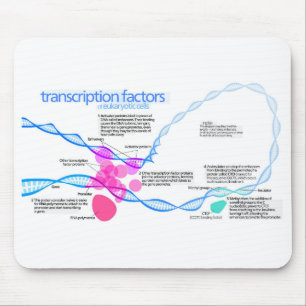 Tapis De Souris Diagramme des facteurs de transcription des gènes 