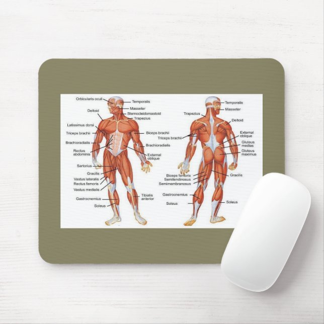 Tapis De Souris Diagrammes musculaires cadeaux101 (Avec souris)