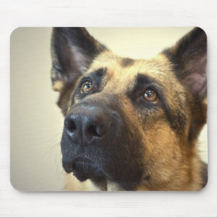 Tapis de souris d'image de berger allemand