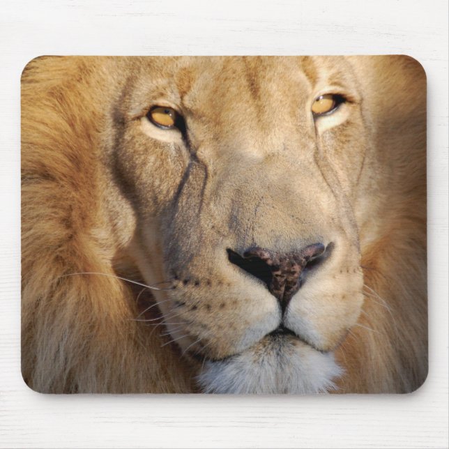 Tapis de souris d'images de lion (Devant)