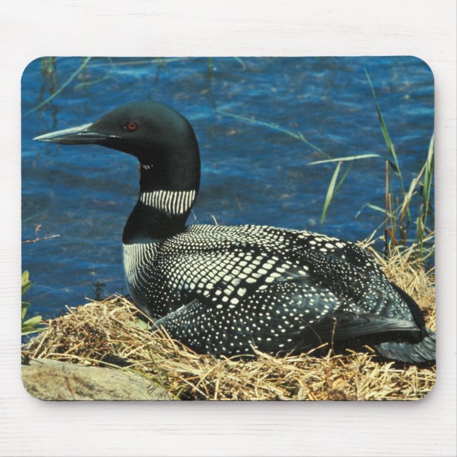 Tapis De Souris Dingue commun (Devant)