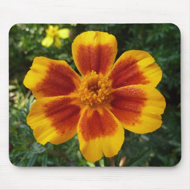 Tapis De Souris Disco Marigold Orange et Rouge Fleur d'été (Devant)