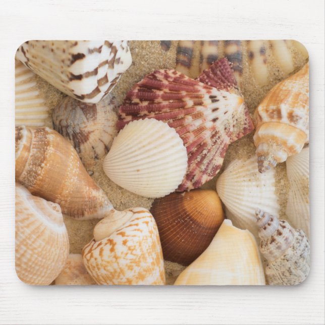 Tapis De Souris Disposition de coquillage (Devant)
