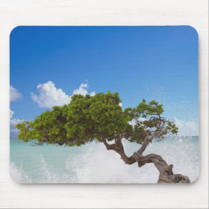 Tapis De Souris Divi Divi Divi Tree, Eagle Beach, Aruba, Caraïbes