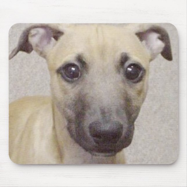 Tapis De Souris Divo (Devant)