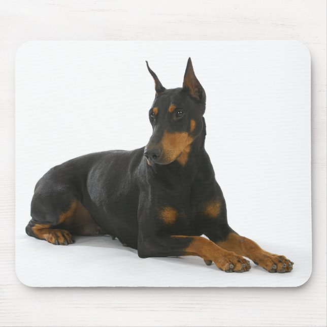 Tapis De Souris Doberman Pinscher Mousepad (Devant)